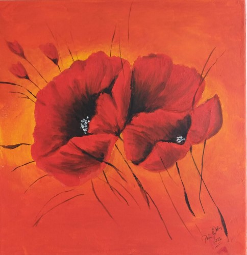 roter Mohn - 60