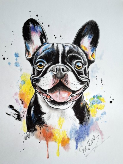 Franz�sische Bulldogge-2-mini