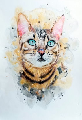 Katze3 - Color-1