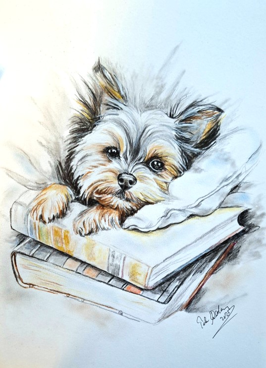 Yorkshere Terrier mit Buch-mini